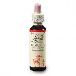 Kejklířka skvrnitá (Mimulus) 20 ml