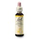 Rožec (Cerato) 20 ml