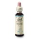 Čekanka obecná (Chicory) 20 ml