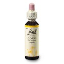 Bach Hlodáš európsky (Gorse) 20 ml