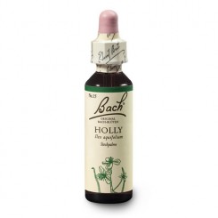 Cesmína ostrolistá (Holly) 20 ml