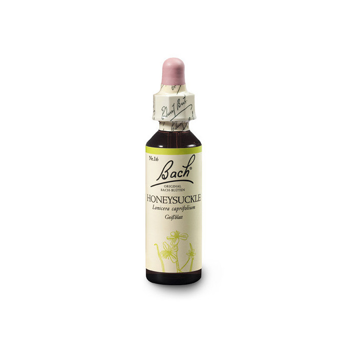 Zimolez kozí list (Honeysuckle) 20 ml