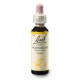 Habr obecný (Hornbeam) 20 ml