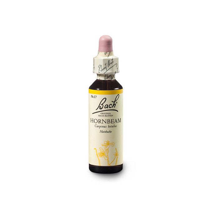 Habr obecný (Hornbeam) 20 ml