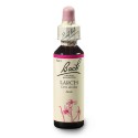 Bach Smrekovec opadavý (Larch) 20 ml