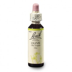 Oliva (Olive) 20 ml