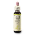 Bach Oliva (Olive) 20 ml