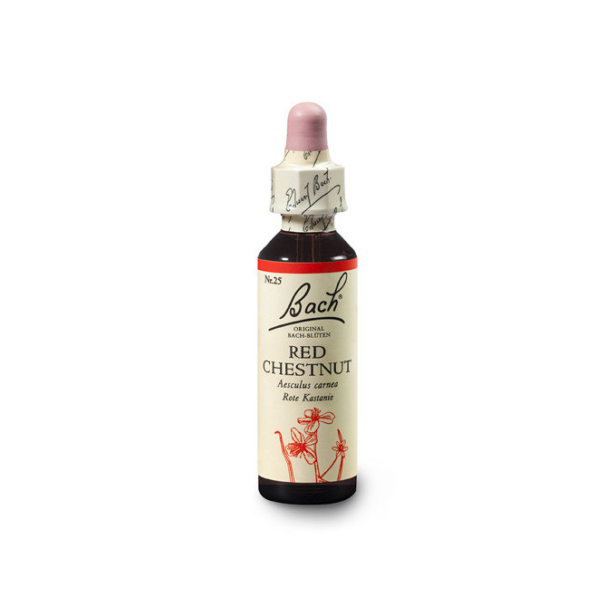 Kaštan červený (Red Chestnut) 20 ml