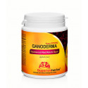Superionherbs Ganoderma 100% spórovým prášok 90 kapsúl