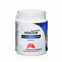 SUPERIONHERBS Hericium 90 kapsúl