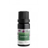 Nobilis Tilia Éterický olej Geranium 10 ml