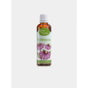 Serafin Echinacea - tinktúra z bylín 50 ml