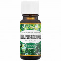 Saloos Vonný olej Eukalyptus citriodora 10 ml