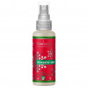 Saloos Natur aróma Airspray - Vianočný sen 50 ml