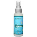 Saloos Natur aróma Airspray - Eukalyptus (prírodný osviežovač vzduchu) 50 ml