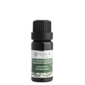 Nobilis Tilia Éterický olej Eukalyptus citronovonný 10 ml