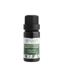Nobilis Tilia Éterický olej Eukalyptus globulus 10 ml