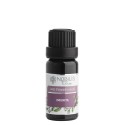 Nobilis Tilia Zmes éterických olejov Imunita 10 ml