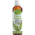 Serafin Cesnak medvedí- tinktúra z bylín 50 ml