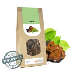 Mycomedica Chaga sušená 100 g