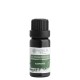 Nobilis Tilia Éterický olej Rozmarýn 10 ml