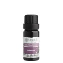 Nobilis Tilia Zmes éterických olejov Harmónia 10 ml