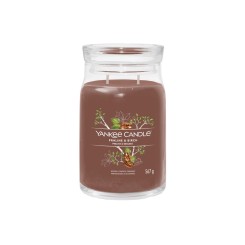 Yankee Candle Signature Praline & Birch 567g