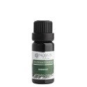 Nobilis Tilia Éterický olej Borovica 10 ml