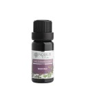 Nobilis Tilia Zmes éterických olejov Meditácia 10 ml