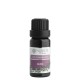 Nobilis Tilia Zmes éterických olejov Sauna 10 ml