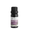 Nobilis Tilia Zmes éterických olejov Tantra 10 ml