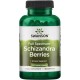 Swanson Schizandra Berries (Klanopraška čínska) 525 mg 90 kapsúl