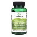 Swanson Full Spectrum Andrographis Paniculata mäkkýn latnatý 400 mg 60 kapsúl