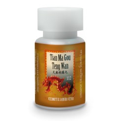 TCM BOHÉMIA 112 VZEDMUTÍ SA JARNÉHO VETRA 200 GULIČIEK