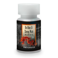 TCM BOHEMIA 201 PEVNOSŤ PALÁCOVÉHO PILIERA 200 GULIČIEK