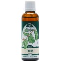 Naděje Dub bylinná tinktúra z púčikov rastliny 50 ml