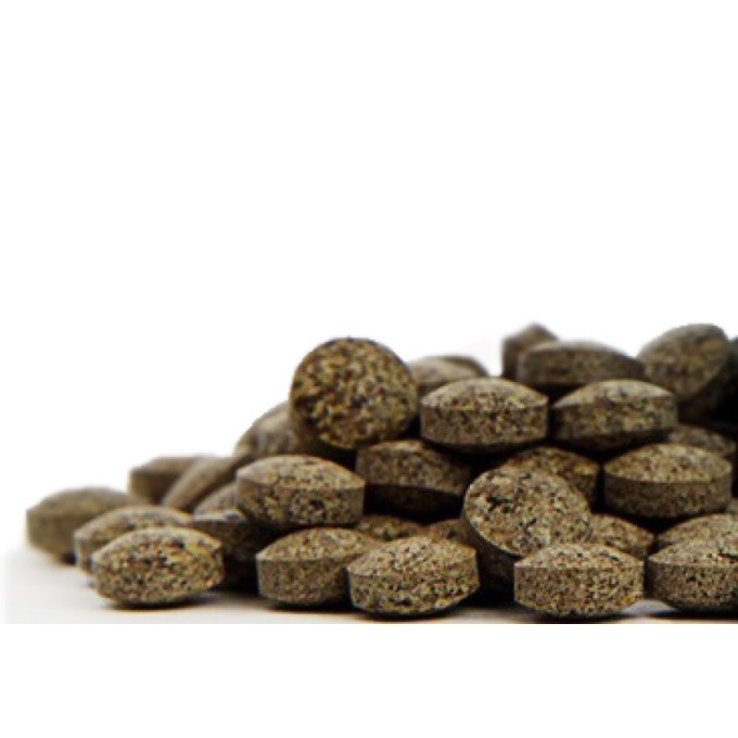 TCM BOHEMIA 107P PREČISTENIE A SPRIECHODNENIE 100 TABLET