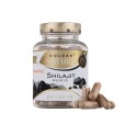 Golden Nature Exclusive Shilajit 100 cps.