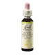 Kaštan bílý (White Chestnut) 20 ml