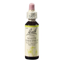 Kaštan bílý (White Chestnut) 20 ml
