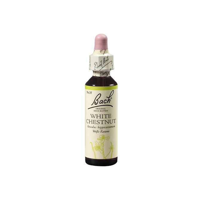 Kaštan bílý (White Chestnut) 20 ml
