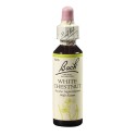Bach Gaštan biely (White Chestnut) 20 ml