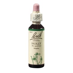 Cesmína ostrolistá (Holly) 20 ml