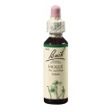 Bach Cezmína ostrolistá (Holly) 20 ml