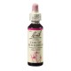Snědek okoličnatý (Star of Bethlehem) 20 ml