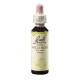 Planá šípková růže (Wild Rose) 20 ml