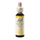 Sveřep větevnatý (Wild Oat) 20 ml