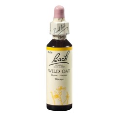 Sveřep větevnatý (Wild Oat) 20 ml