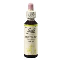 Bach Horčica roľná (Mustard) 20 ml