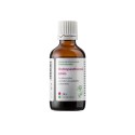 Dědek Kořenář Ostropestrecová zmes 50 ml JK+